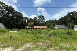 25815 Exmoor Dr, Sorrento, FL 32776 - Photo 1