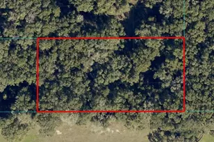 Undetermined, Ocala, FL 34480 - Photo 1