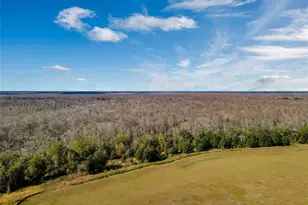 918 Highgate Park Blvd, Davenport, FL 33897 - Photo 42