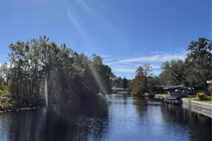 3618 Hidden River Ln, Tavares, FL 32778 - Photo 28