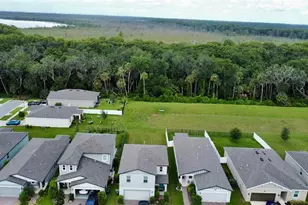 3336 Curlew Ave, Leesburg, FL 34748 - Photo 4