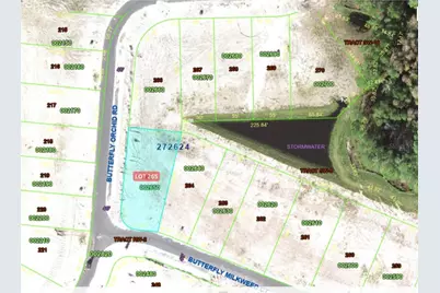 1257 Butterfly Orchid Road, Davenport, FL 33837 - Photo 2