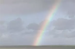 6035 Sea Ranch Dr, Hudson, FL 34667 - Photo 56