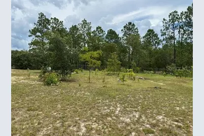 2551 SW Harbor Hills Road, Dunnellon, FL 34431 - Photo 24