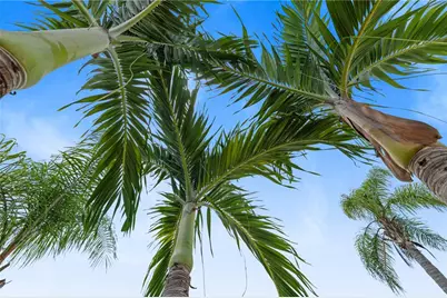 4611 Cabalerro Trail, Kissimmee, FL 34758 - Photo 48