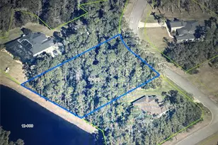 Arbor Glen Ct, Orlando, FL 32832 - Photo 1