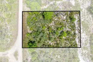 1524 Barn Owl St, Sebring, FL 33870 - Photo 4