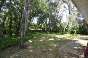 2228 Mountain Spruce St, Ocoee, FL 34761 - Photo 70