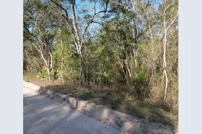 00, Jasper, FL 32052 - Photo 2