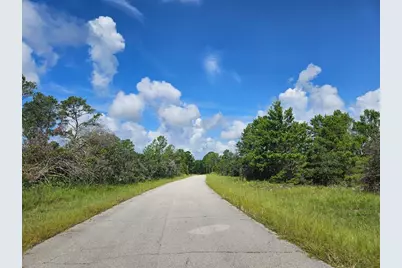 6834 Virtudes Street, Sebring, FL 33872 - Photo 2