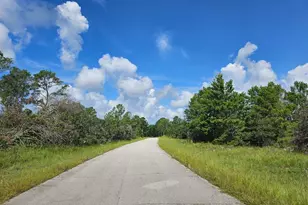 6834 Virtudes St, Sebring, FL 33872 - Photo 2