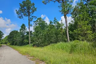 6834 Virtudes St, Sebring, FL 33872 - Photo 4