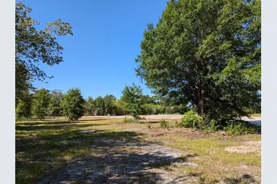 Cord Avenue, Saint Cloud, FL 34772 - Photo 2