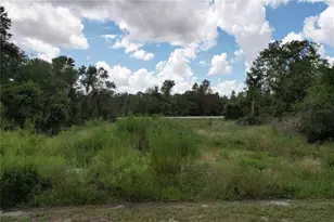 1416 Stuart Ln, Kissimmee, FL 34759 - Photo 1