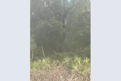 Se 105 Place, Ocklawaha, FL 32179 - Photo 2