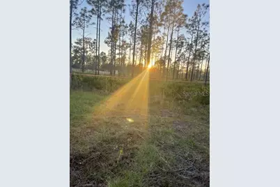 Suburban Ests Sec 14...4121 0010, Saint Cloud, FL 34773 - Photo 10