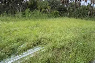 2219 Fraser St, Port Charlotte, FL 33948 - Photo 30