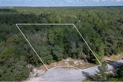 0000 SW 174 Street, Ocala, FL 34473 - Photo 1