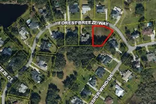 3185 Forest Breeze Way, Saint Cloud, FL 34771 - Photo 16