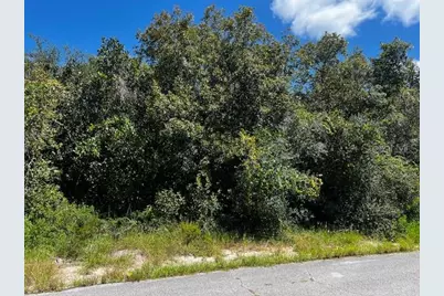 1229 Baltic Drive, Poinciana, FL 34759 - Photo 4