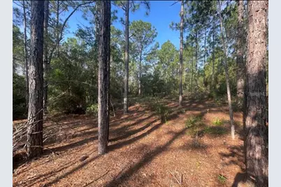 3690 W Norwick Place, Dunnellon, FL 34433 - Photo 2