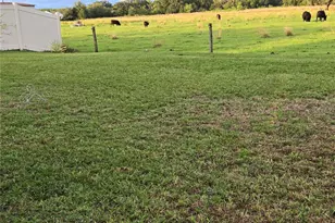 3337 Perennial Ln, Kissimmee, FL 34746 - Photo 16