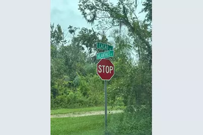 1217 & 1219 Cacao Road, Lake Placid, FL 33852 - Photo 2