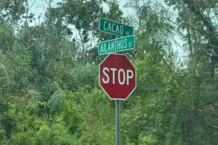 1217 & 1219 Cacao Rd, Lake Placid, FL 33852 - Photo 2
