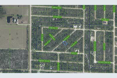 3535 Venetia Street, Lake Placid, FL 33852 - Photo 2