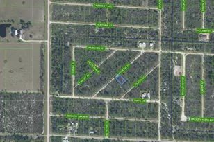 3535 Venetia St, Lake Placid, FL 33852 - Photo 2