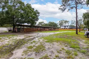 4050 Citrus St, Kissimmee, FL 34746 - Photo 48