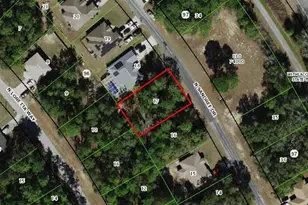 9740 N Sandree Dr, Citrus Springs, FL 34434 - Photo 1