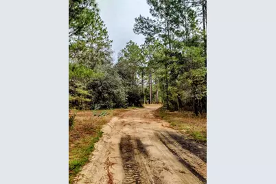 171 7th Way, Interlachen, FL 32148 - Photo 2