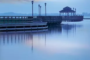 2651 Boat Cove Cir, Kissimmee, FL 34746 - Photo 76