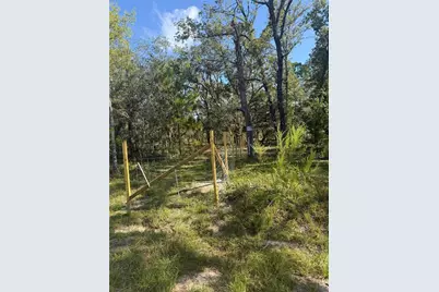 Se 112 Place, Ocklawaha, FL 32179 - Photo 12