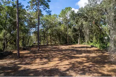Se 180th Ave Road, Ocklawaha, FL 32179 - Photo 2