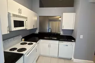 21 Silver Park Cir, Kissimmee, FL 34743 - Photo 8