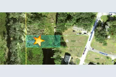 0 Old Bartow Eagle Lake Road, Bartow, FL 33830 - Photo 2