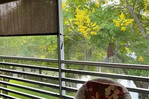 6043 Lake Pointe Dr, Orlando, FL 32822 - Photo 30