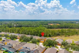 1038 Orange Cosmos Blvd, Davenport, FL 33837 - Photo 64