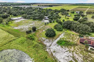 301 H L Smith Rd, Haines City, FL 33844 - Photo 60