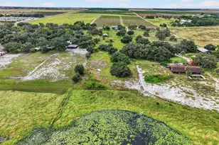 301 H L Smith Rd, Haines City, FL 33844 - Photo 58