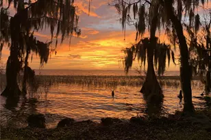 30215 Redtree Dr, Leesburg, FL 34748 - Photo 46