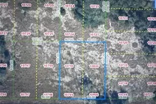 2600 London Rd, Avon Park, FL 33825 - Photo 1