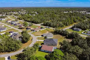 1419 Punta Gorda Dr, Kissimmee, FL 34759 - Photo 4