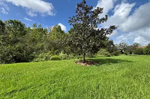 915 San Raphael St, Poinciana, FL 34759 - Photo 58