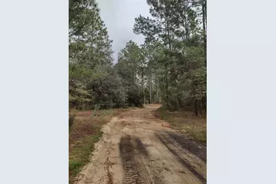 165 7th Way, Interlachen, FL 32148 - Photo 2