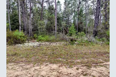 165 7th Way, Interlachen, FL 32148 - Photo 1