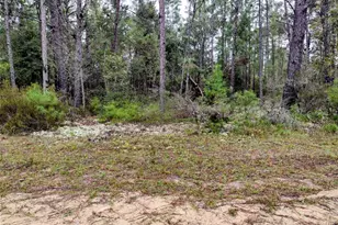 165 7th Way, Interlachen, FL 32148 - Photo 1