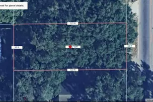 310 N Pine Hills Rd, Orlando, FL 32811 - Photo 1